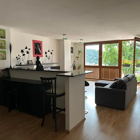 Apartment Apartman Na Vyhlidce Karlovy Vary